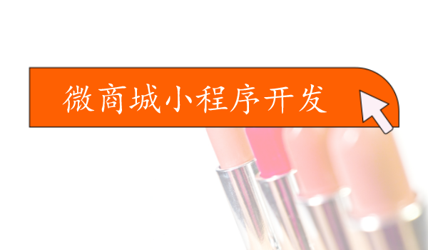 美妝微商城小程序開發