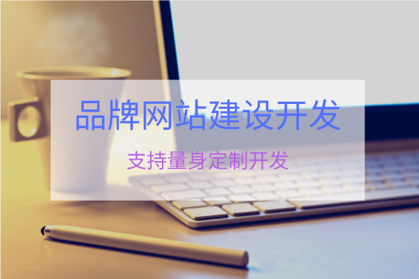 品牌展示網(wǎng)站建設(shè)開發(fā)