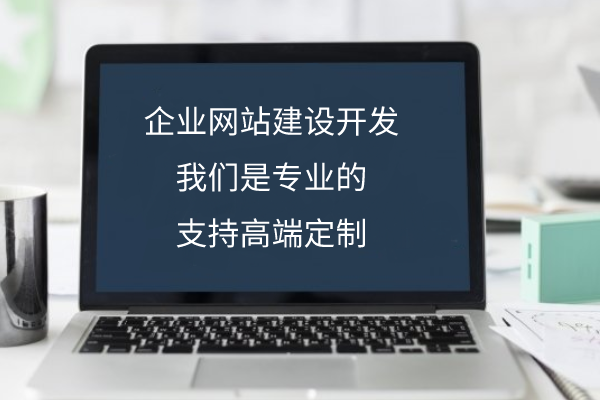 企業(yè)網(wǎng)站定制開發(fā)