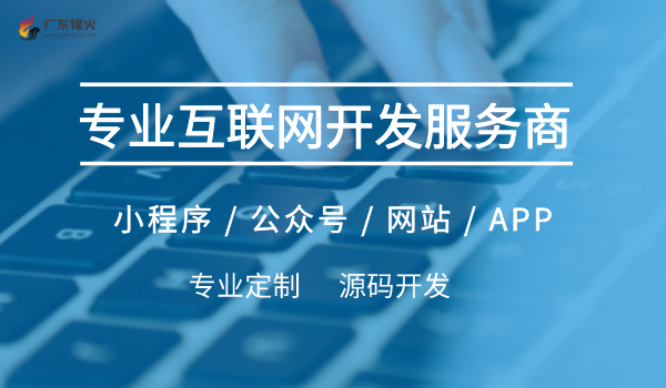 互聯(lián)網(wǎng)軟件開發(fā)服務(wù)商